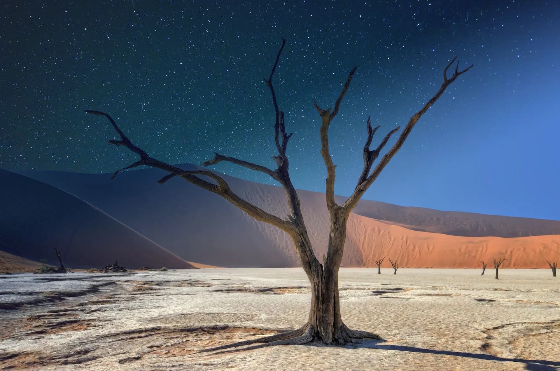 Sossusvlei dunes at first light