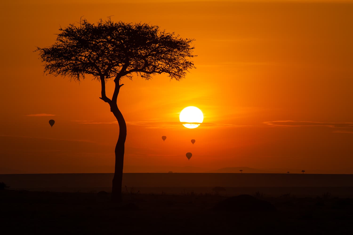 Masai Mara