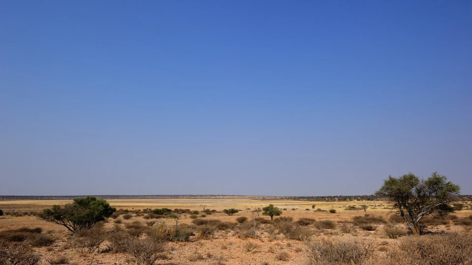 Mabuasehube Game Reserve