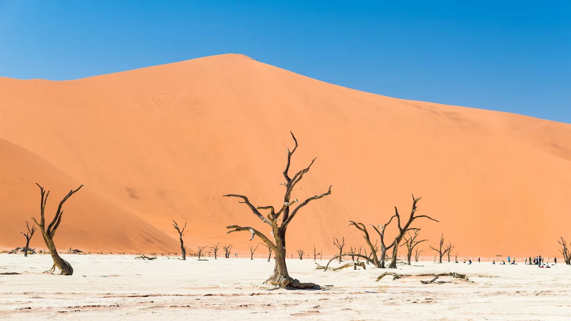 Sossusvlei and Deadvlei