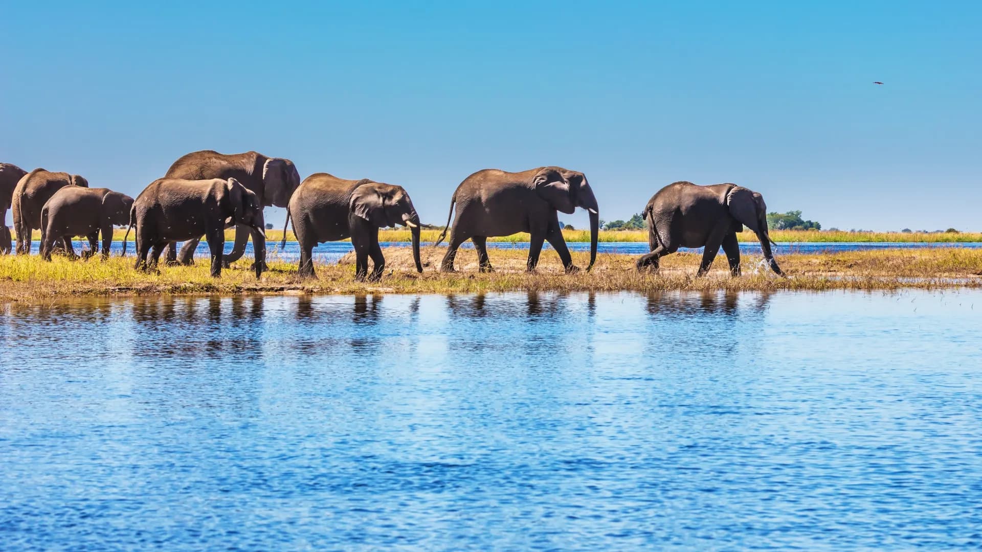 Chobe National Park