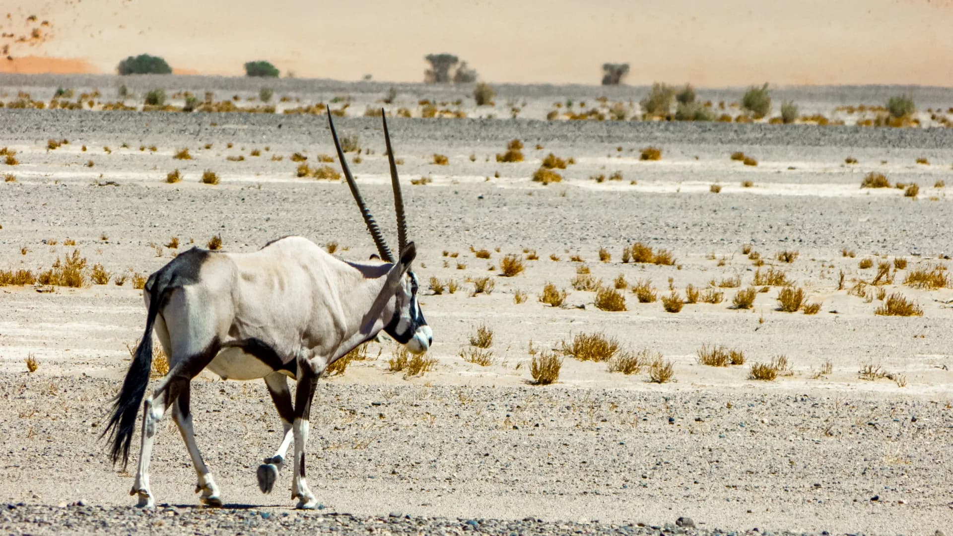 Namib-Naukluft National Park